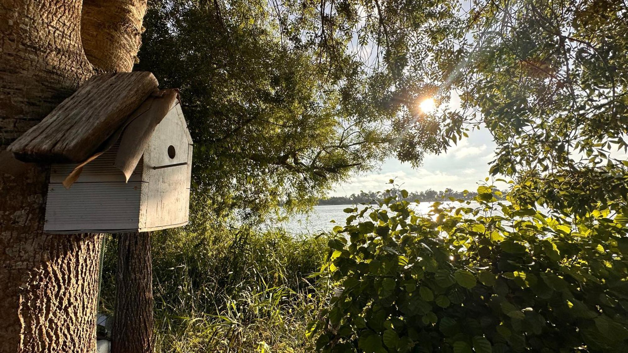 Casa Do Areal, Refugio Das Rotas Pedestres Em Mira ミラ エクステリア 写真