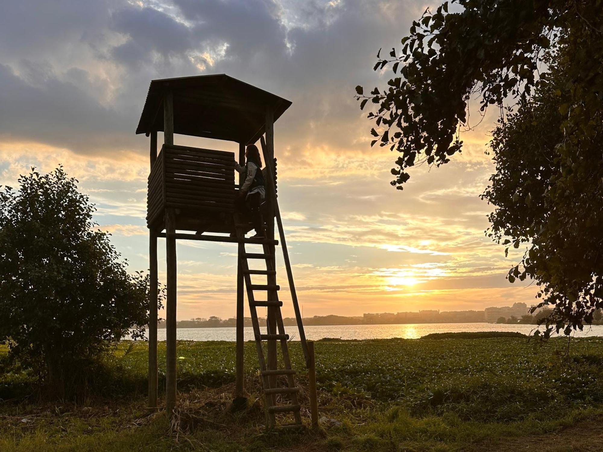 Casa Do Areal, Refugio Das Rotas Pedestres Em Mira ミラ エクステリア 写真